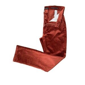 Banana Republic High Rise Slim Velvet Pants Rust Red 29L 29x31 Stretch